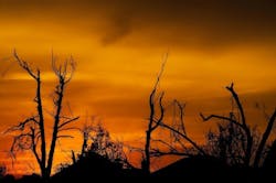 1655260804894 Storm Water Plan 1655260804894 Storm Water Plan