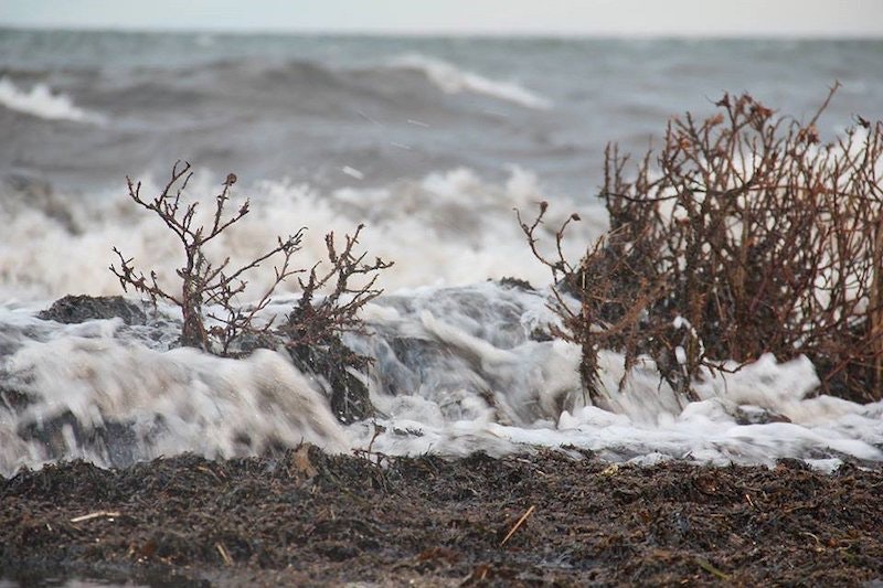 Grand Isle Faces Broken Defenses After Tropical Storm Cristobal ...