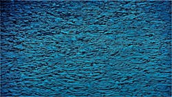 1655260808077 Drinking Water 0 1655260808077 Drinking Water 0