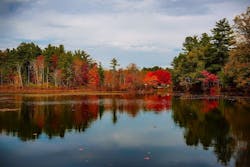 1655260815418 Massachusetts 0 1655260815418 Massachusetts 0