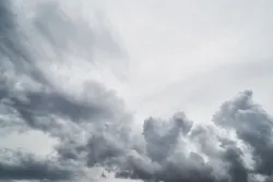 1655260816309 Tropical Storm Sally