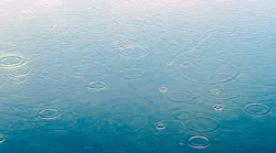 1655260817342-raindrop_2