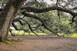 1655260817404 Storm Water Virginia 1655260817404 Storm Water Virginia