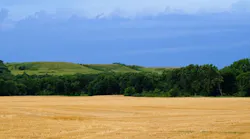 1655260817556-kansas_storm_water