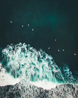 1655260819324 Hawaii Waves