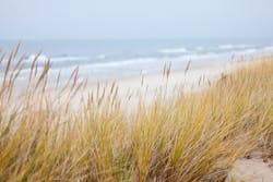 1655260820998 Coastal 1655260820998 Coastal