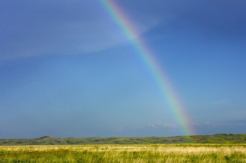 1655260822369 South Dakota