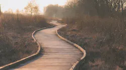 1655260822866-wetlands_1