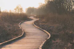 1655260822866 Wetlands 1