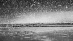 1655260832765-rainfall