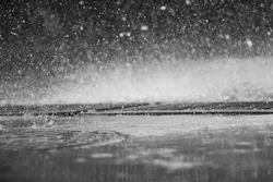 1655260832765 Rainfall