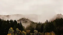 1655260835474-oregonwater