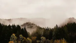 1655260835474 Oregonwater 1655260835474 Oregonwater