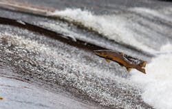 1655260839696 Commercialstormwater 0 1655260839696 Commercialstormwater 0