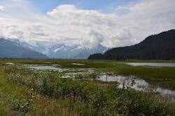 1655260844347 Kenaiwater 1655260844347 Kenaiwater