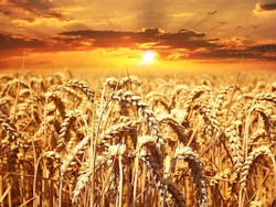 1655260845137 Agriculture 1655260845137 Agriculture