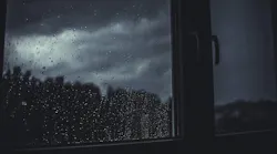 1655260846629-rainwater_0