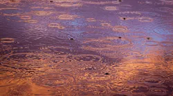1655260848692-rainwater_1
