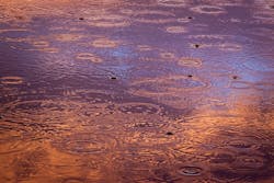 1655260848692 Rainwater 1 1655260848692 Rainwater 1