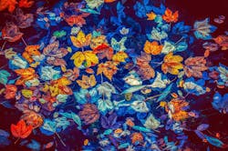 1655260850281 Stormwater 1655260850281 Stormwater