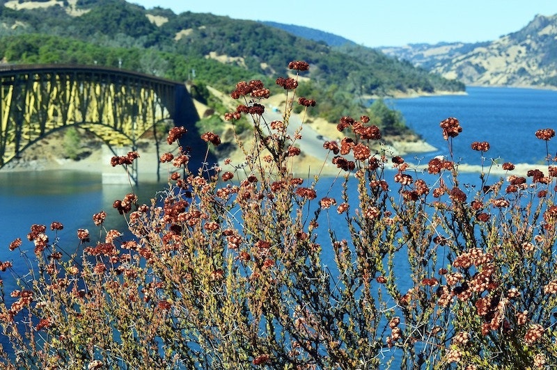 1655260850449 Sonoma County