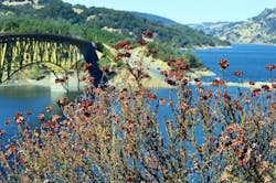 1655260850449 Sonoma County 1655260850449 Sonoma County