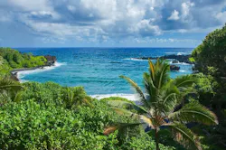 1655260859235 Mauipollution
