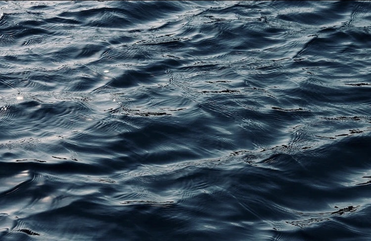 1655260860421 C0317941ba6b4a738fa50110362acd99