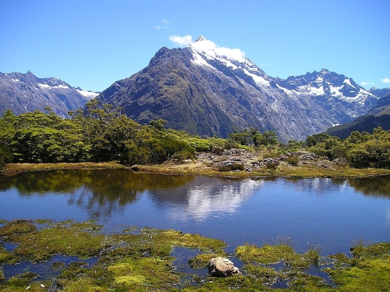 1655260861057 Newzealandwater