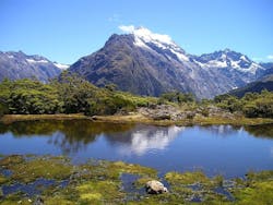 1655260861057 Newzealandwater 1655260861057 Newzealandwater