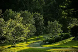 1655260861944 Virginia 1655260861944 Virginia