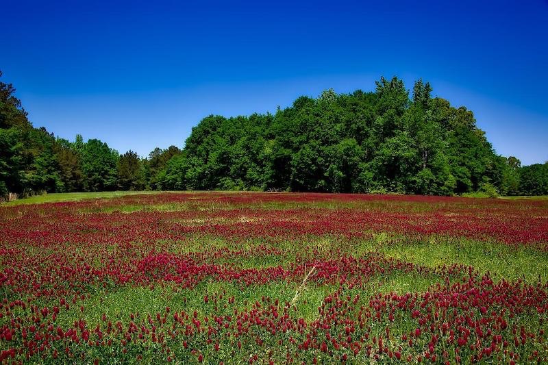 1655260862049 Alabamastormwater