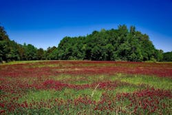 1655260862049 Alabamastormwater 1655260862049 Alabamastormwater