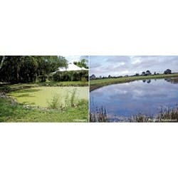 1655262537176 Deangelo Rs 1655262537176 Deangelo Rs