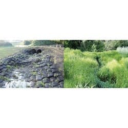 1655262538713 Vegetatedretainingwall Rs 1655262538713 Vegetatedretainingwall Rs