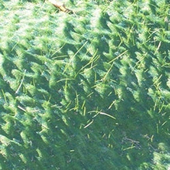 Turf Reinforcement Mat Stormwater Solutions