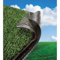 1655262566184-agruweb