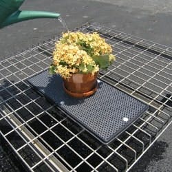 1655262574673 Fabcoweb4 0 1655262574673 Fabcoweb4 0