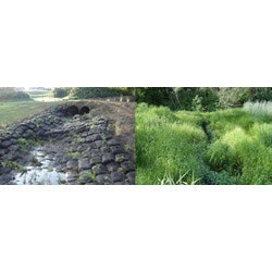 1655262579611 Agrecolrunoff Rs