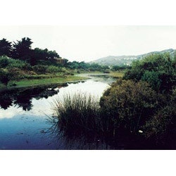 1655262583708 Rbfconsluting