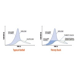 1655262598854 Thirstyduckweb1 0