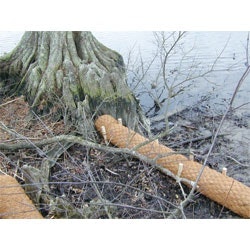 1655262599328-eastcoastweb1_0