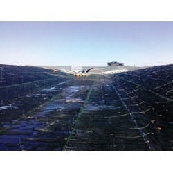 1655262605670 Northamericangreenweb1 0 1655262605670 Northamericangreenweb1 0