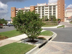 1655262607990 Filterra Copy