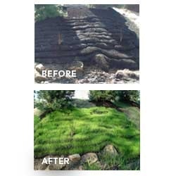 1655262619878-filtrexx_combined_0