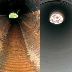 1655262631169 Fivestar 1655262631169 Fivestar