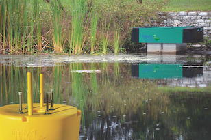 1655262631931-thirsty_duck_ps_foas