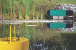 1655262631931 Thirsty Duck Ps Foas 1655262631931 Thirsty Duck Ps Foas