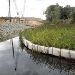 1655262639550-americanexcelsior