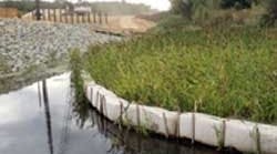 1655262639550-americanexcelsior 1655262639550-americanexcelsior